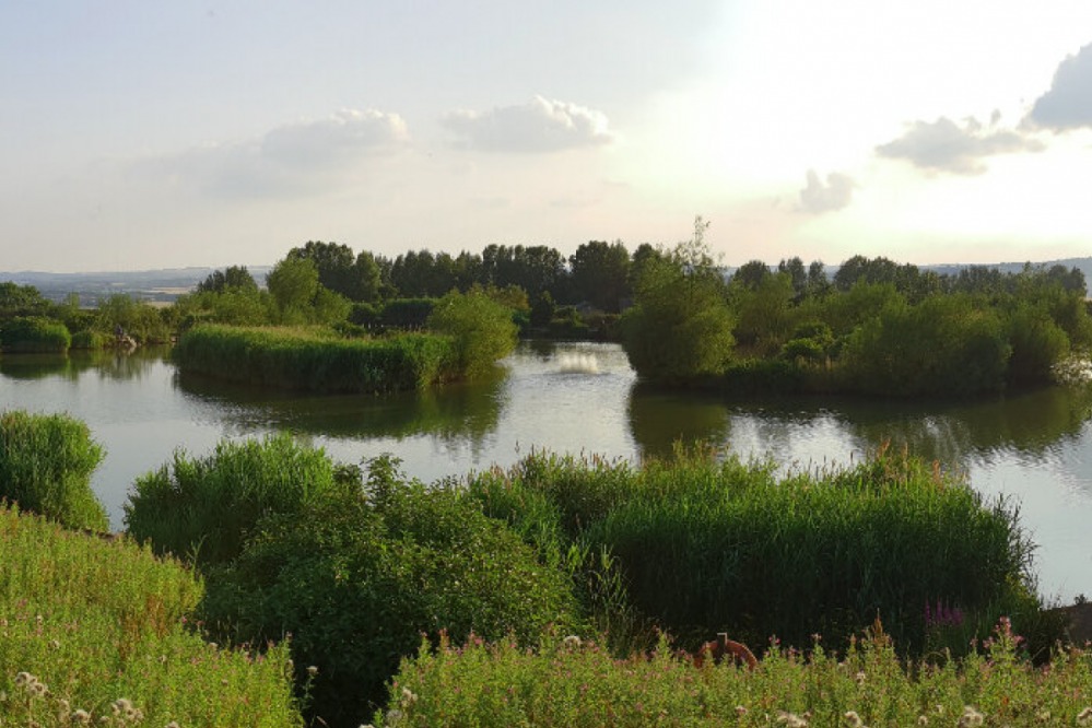Fishing - Angel Fishing Lakes