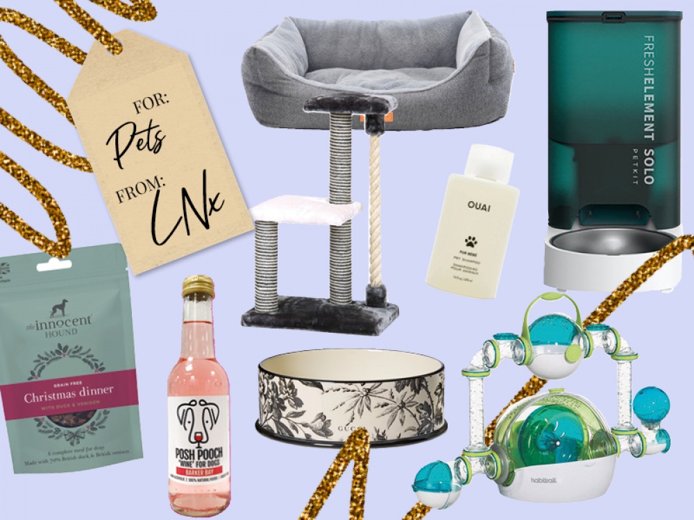 pet presents