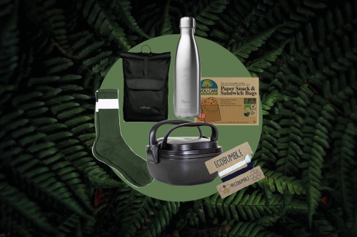 Our Sustainable Picks This Month