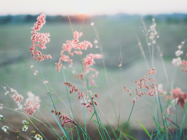 This Month's sustainable Switches