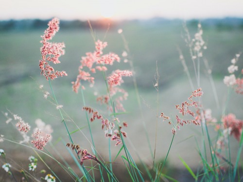 Sustainable Switches for Spring