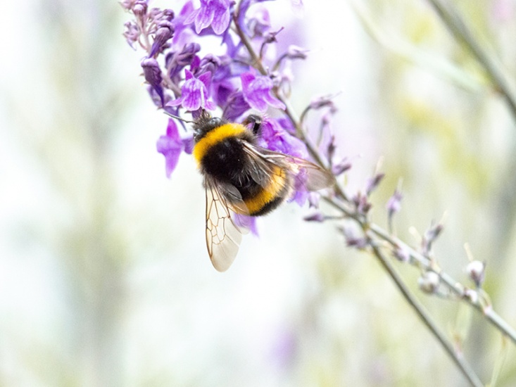 Fun Sustainable Switches For Spring