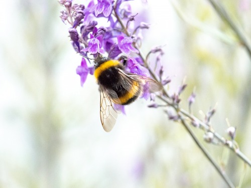 Fun Sustainable Switches For Spring