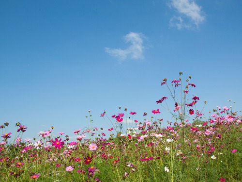 Sustainable Switches to See You Through Spring and into Summer