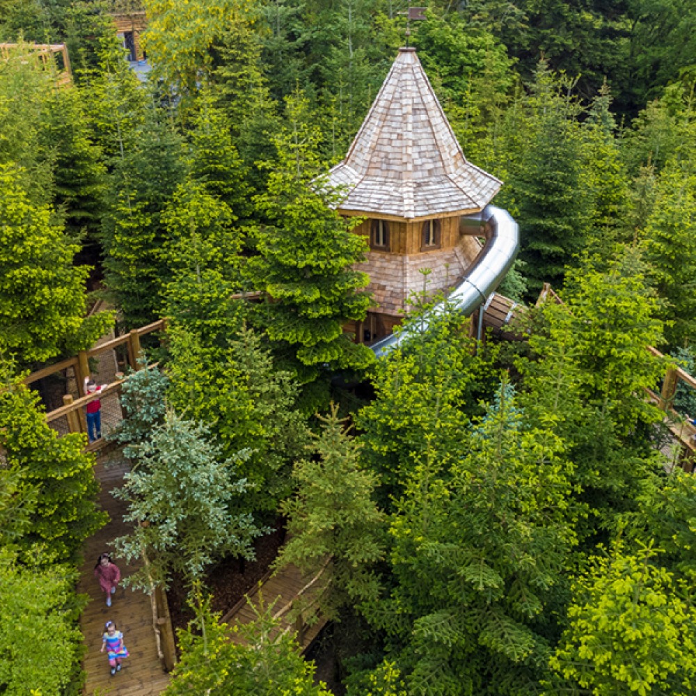 treehouse with a slide