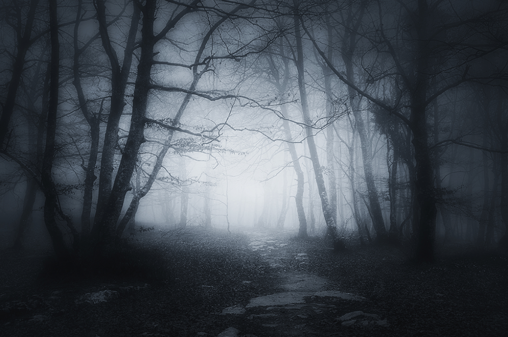 forestryengland.uk