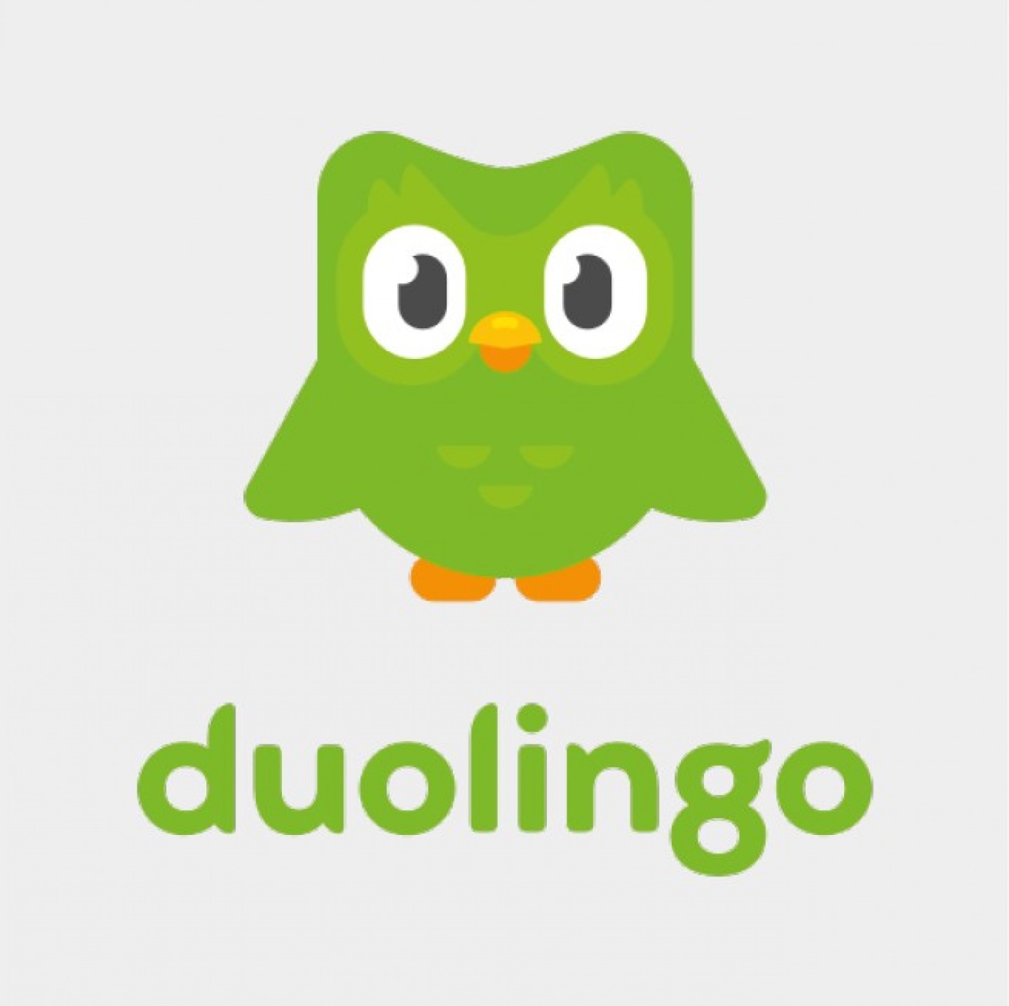 duolingo app