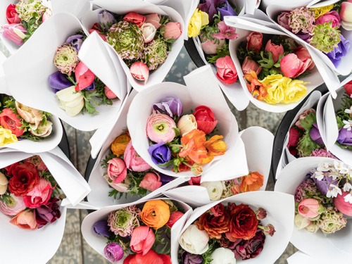 Four Places to Go With Your Mum in the North East this Mother's Day