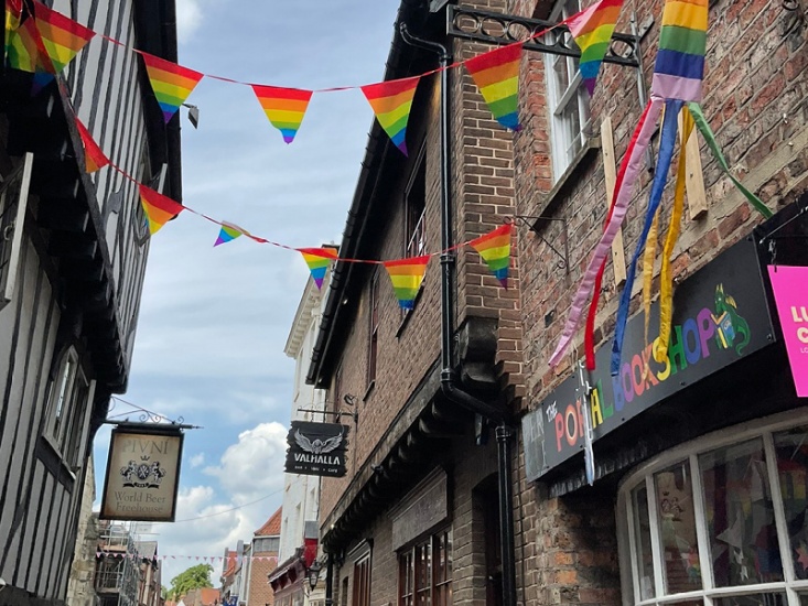 Welcome to the Dedicated Queer Space for York Bookworms