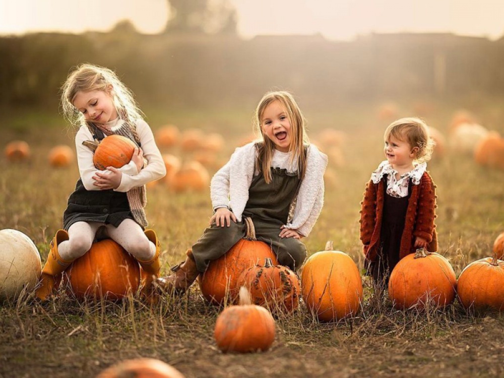 3 children sitting on pumpkins