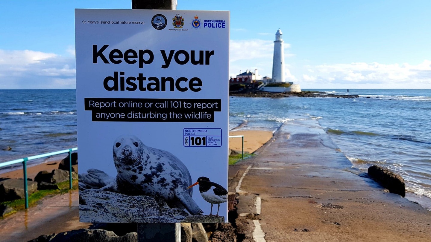 St Mary's Island Wildlife Conservation