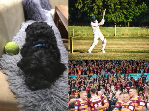 It’s a Dog’s Life: Winnie’s Sporting Weekend