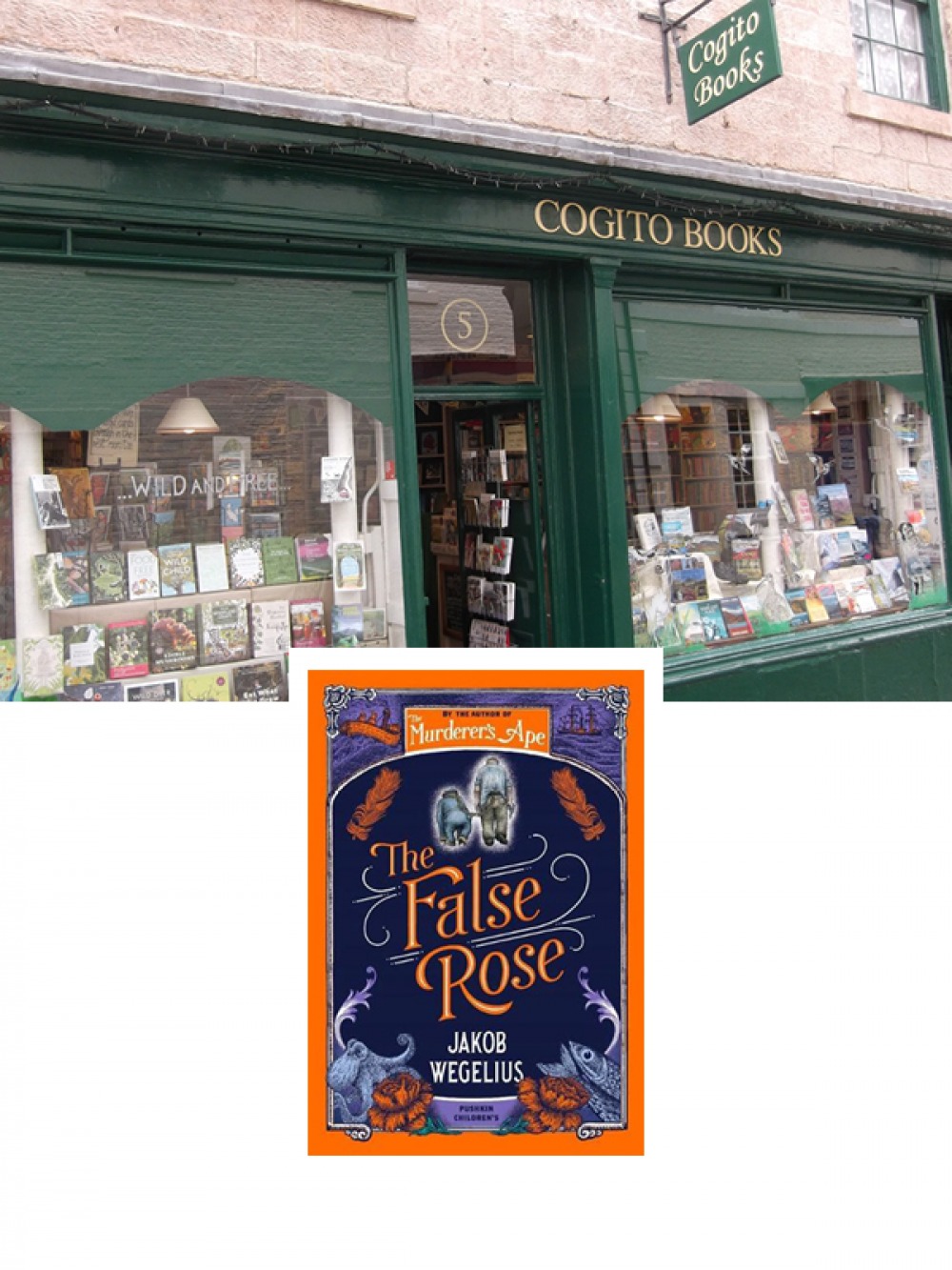 Cogito Books