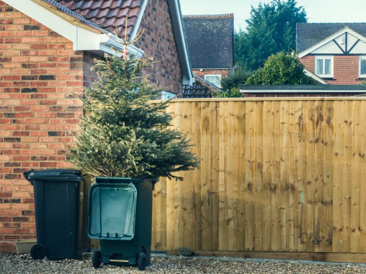 Where to Get Rid of Your Christmas Tree