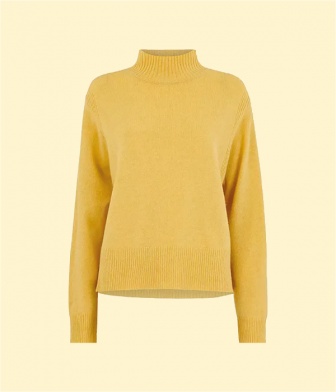 mustard toned roll neck jumper