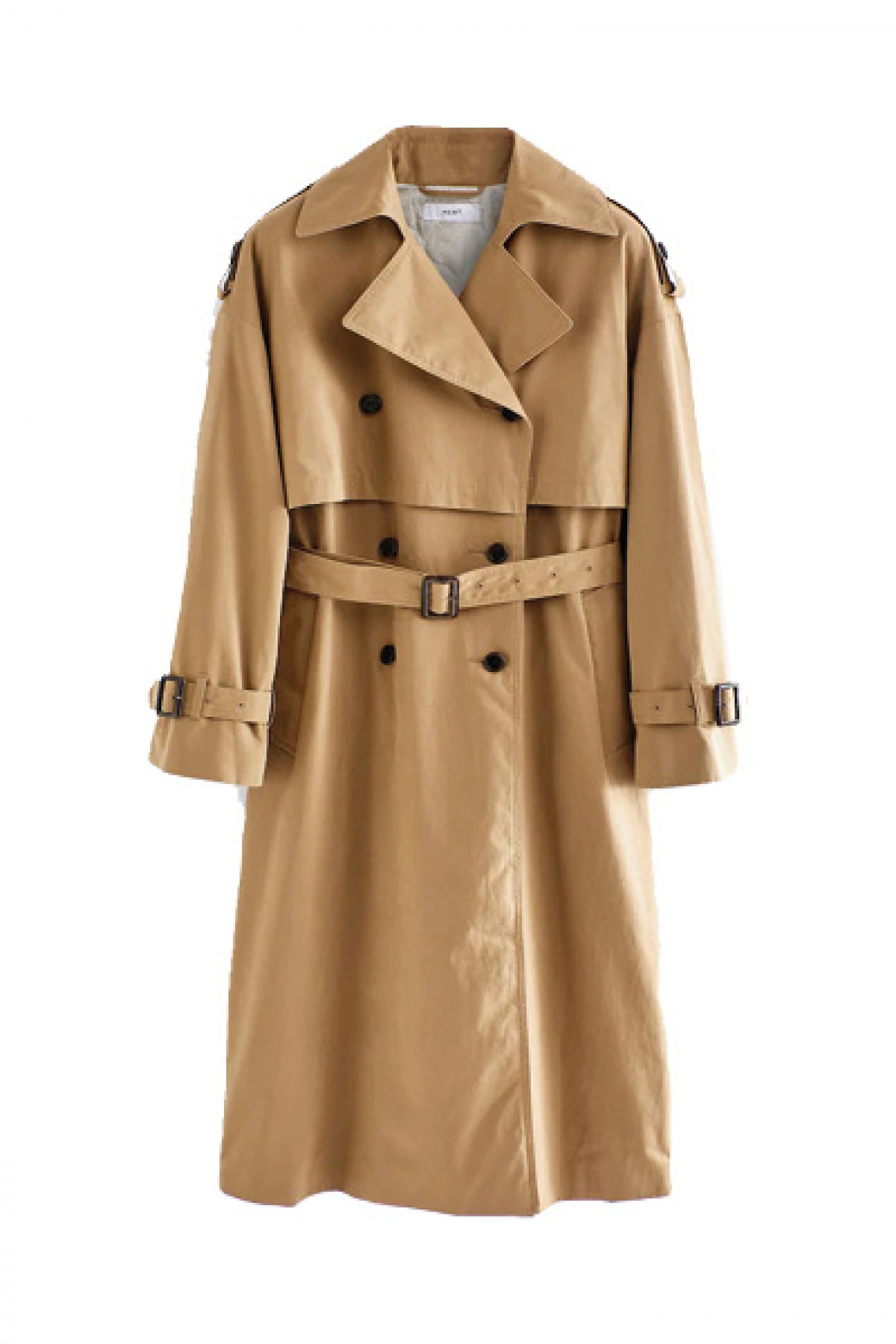 Camel lines trench