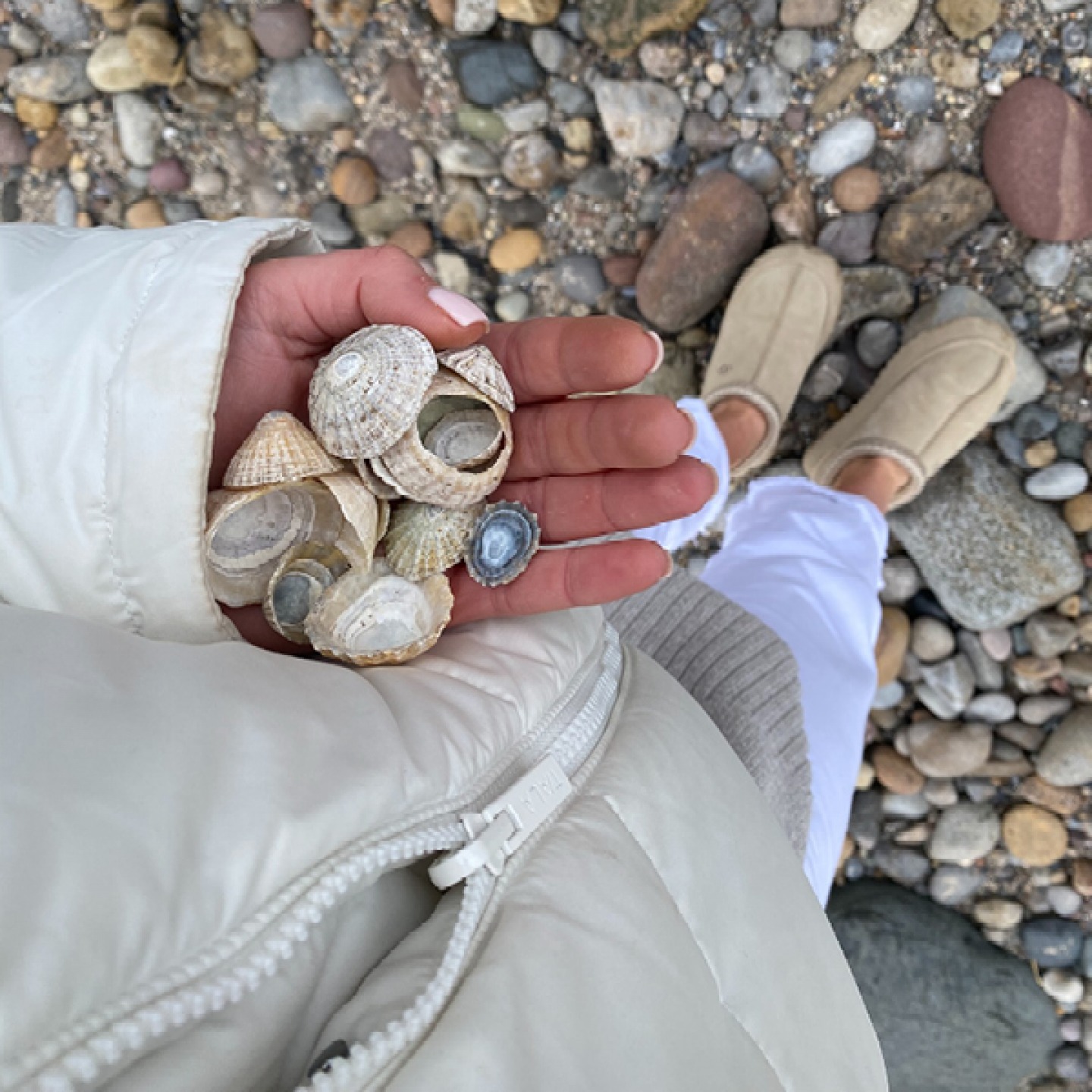 Martha collecting shells on a beach