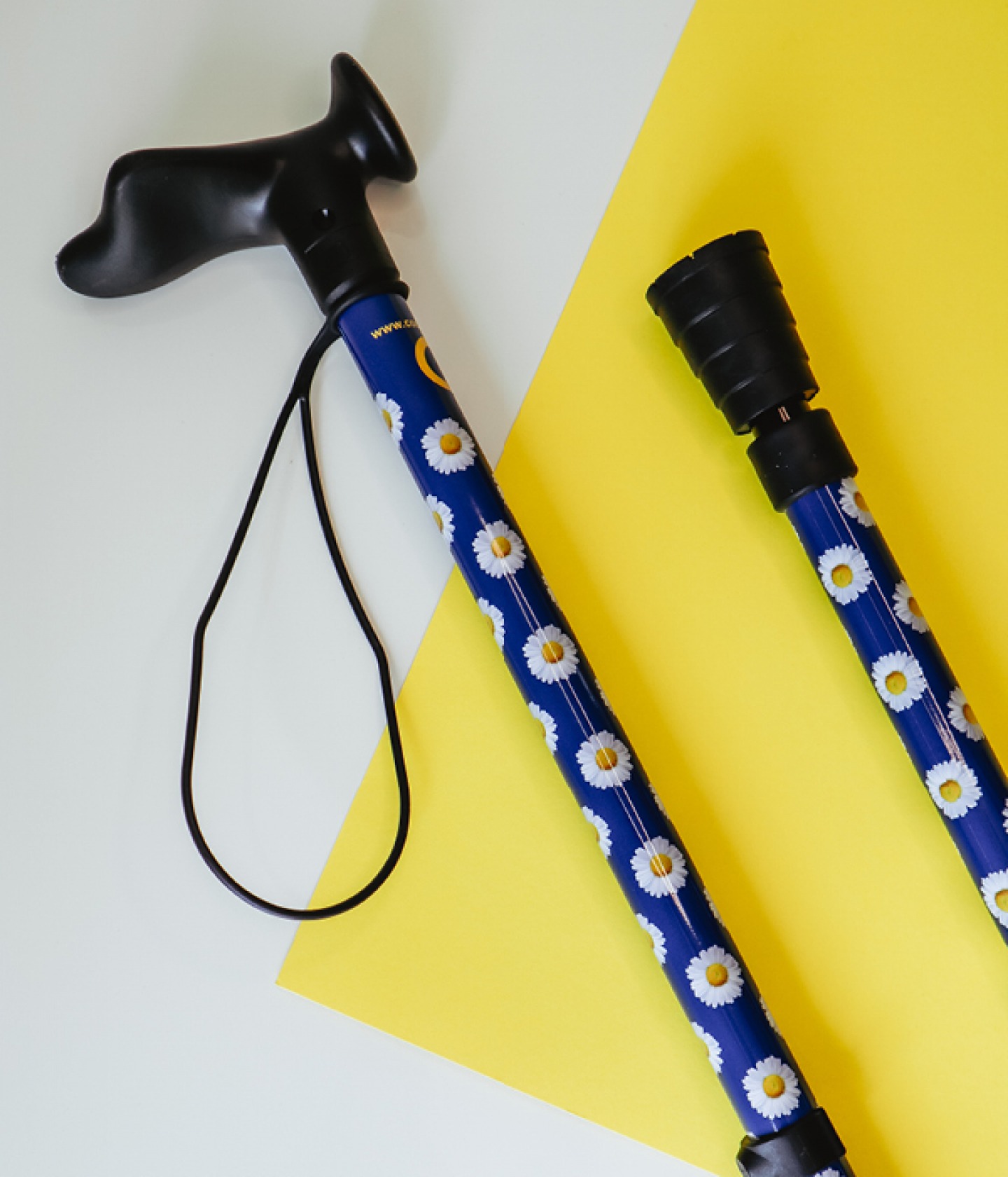 blue walking stick covered in a daisy pattern