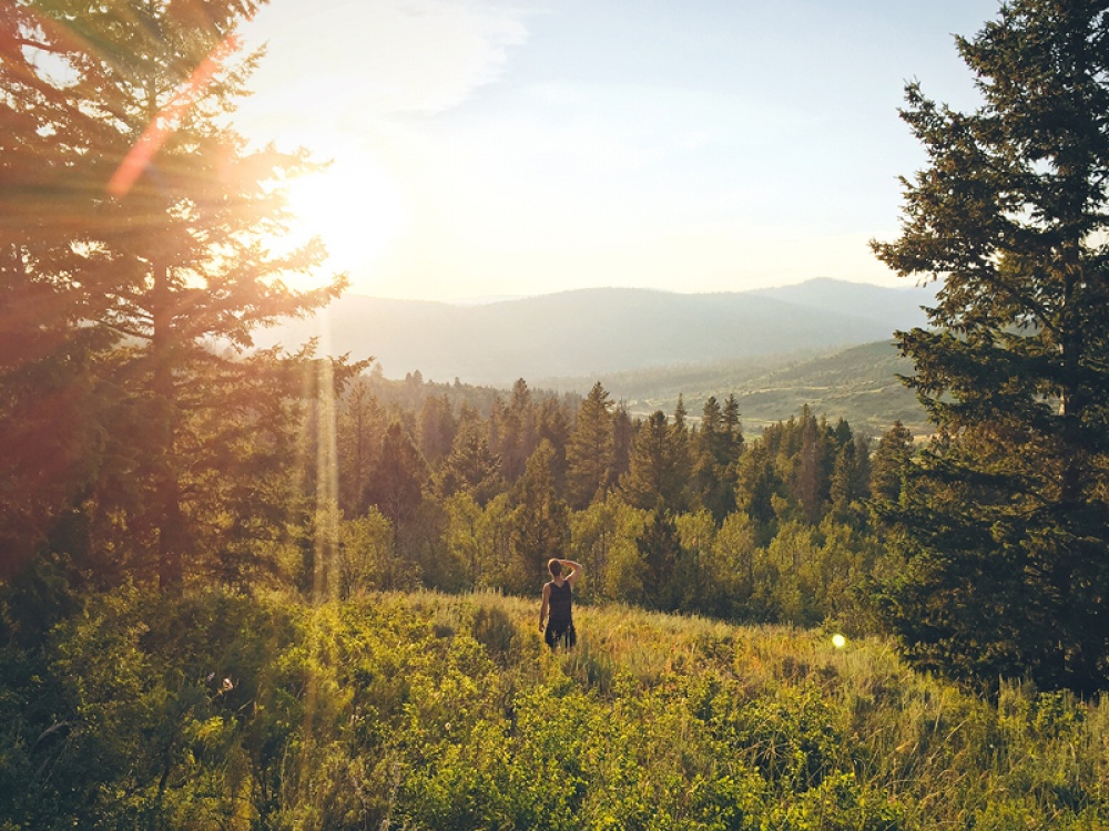 man walking in a forest