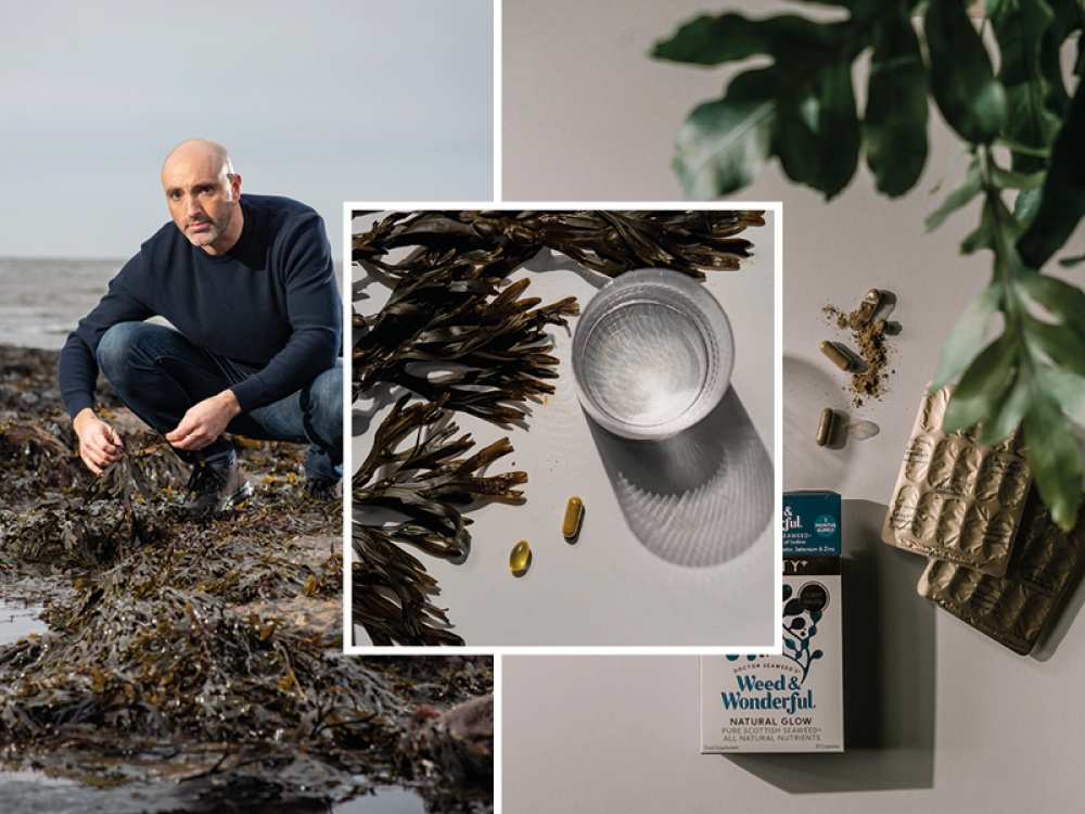 collage of images promoting seaweed