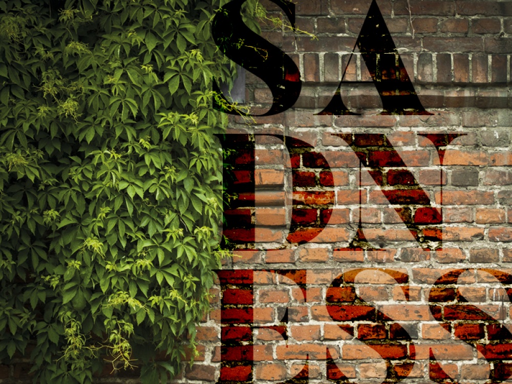 SADNESS written on a brick wall with foliage