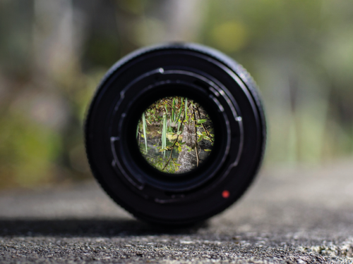Why We Need to Stay Focused