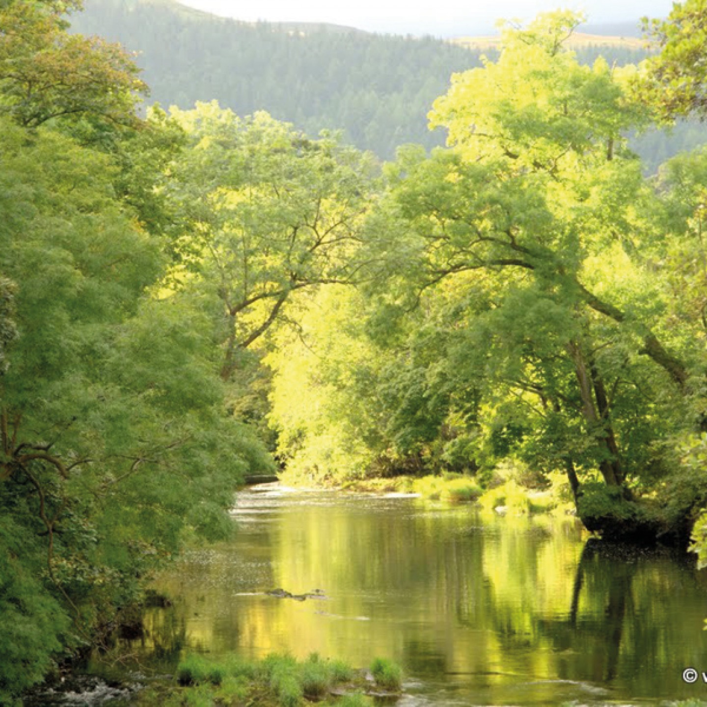 Chesters Bridge, North Tyne