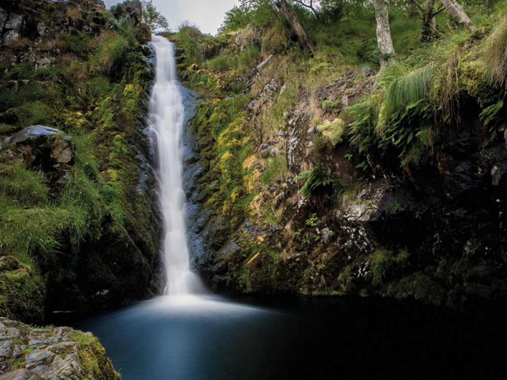 Linhope Spout, Ingram