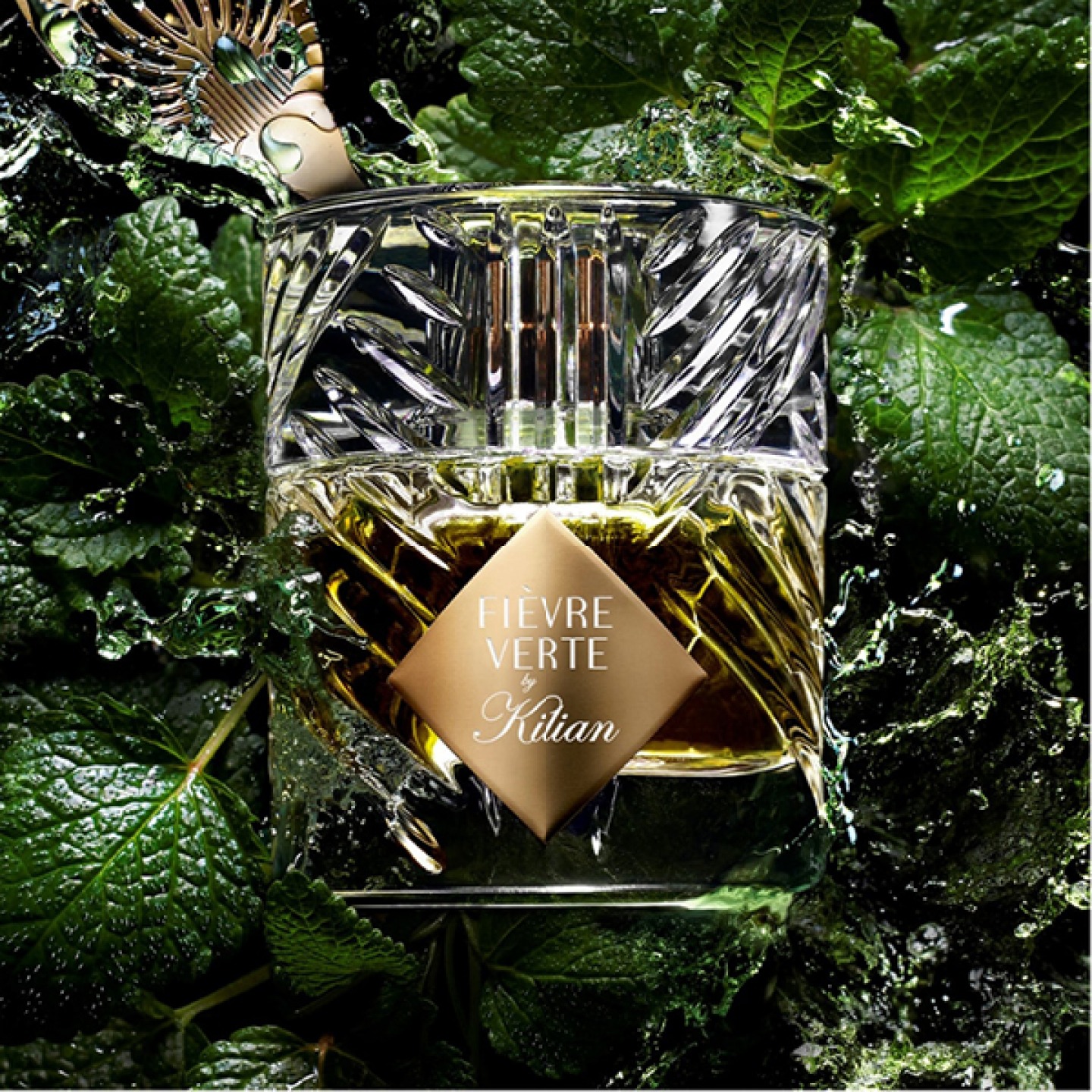 Fievre Verte EDP, Kilian