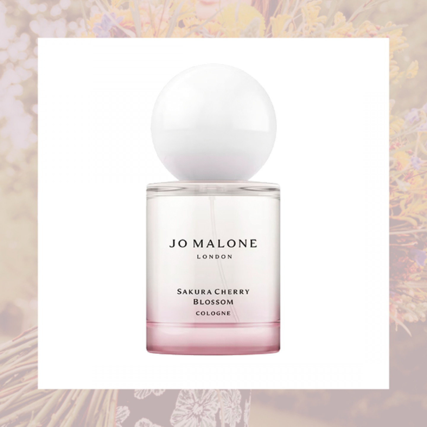 Sakura Cherry Blossom Cologne, £59 Jo Malone.
