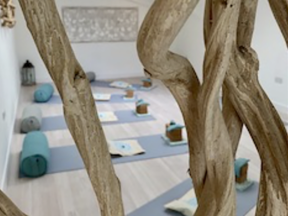The Yoga Collaboration