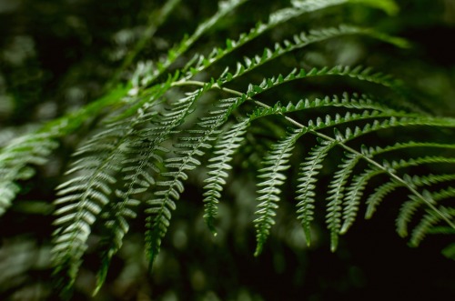 Get Summer-ready Sustainably