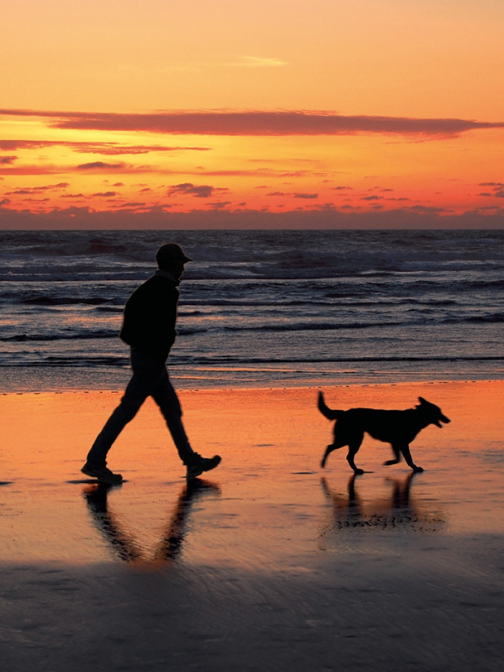 Man Walking dog on a beach at sunset