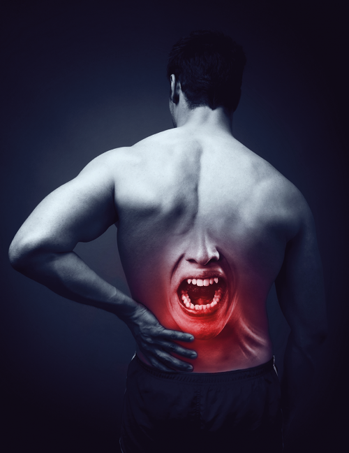 Back Pain Causing Trouble?