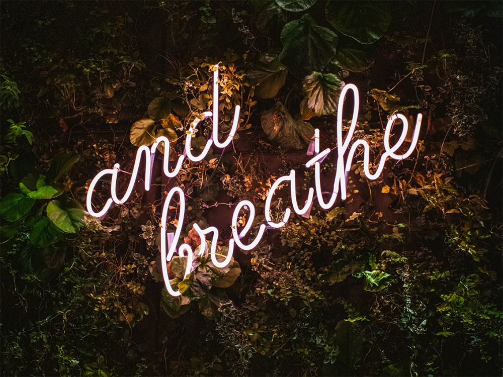 Unsplash image