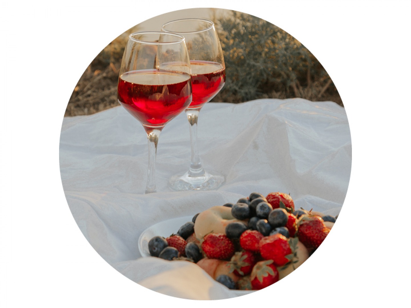Wine and berries
