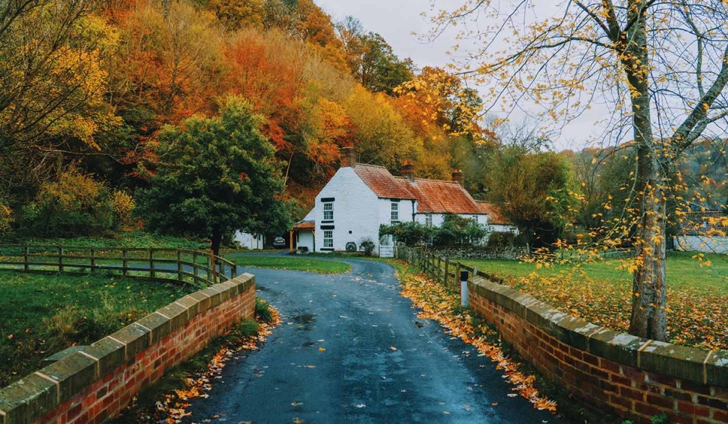 road up to a White House with Autumnal tree behind