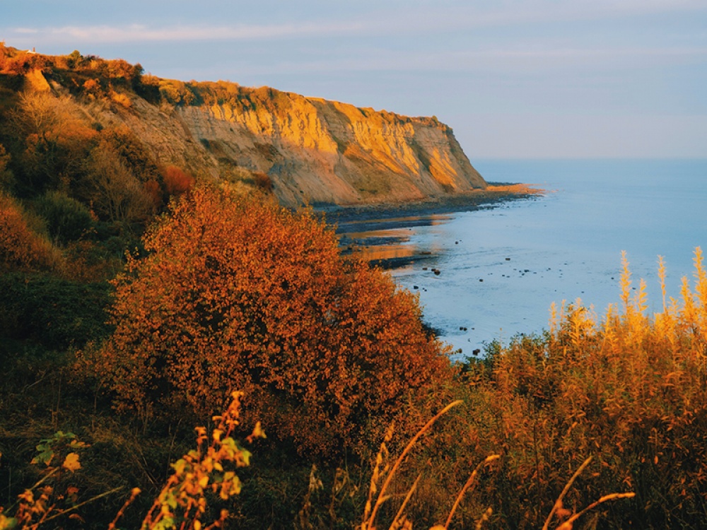 cliffs and sea with autumnal colours
