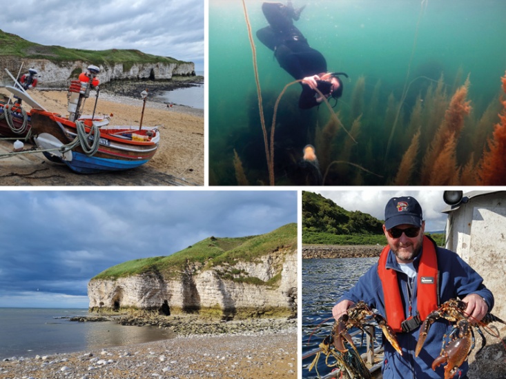 Meet Dr Bryce Stewart, University of York Researcher who has Featured on BBC Series Wild Isles