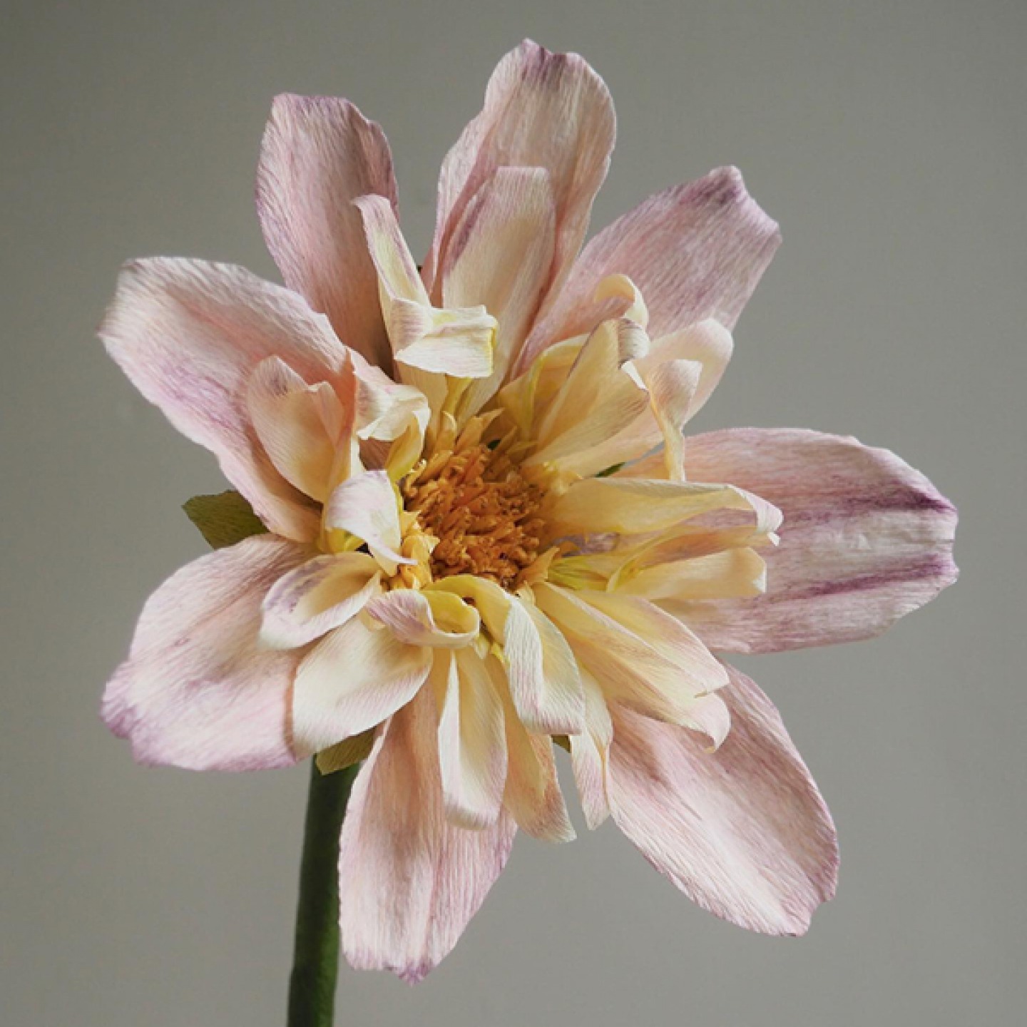 pink, white and yellow paper flower