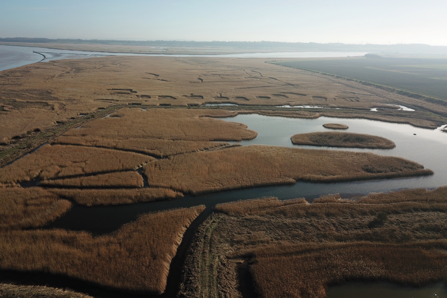 wetlands