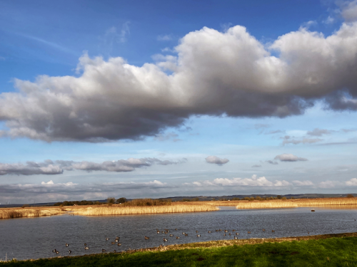RSPB Blacktoft Sands © Kay Hyde