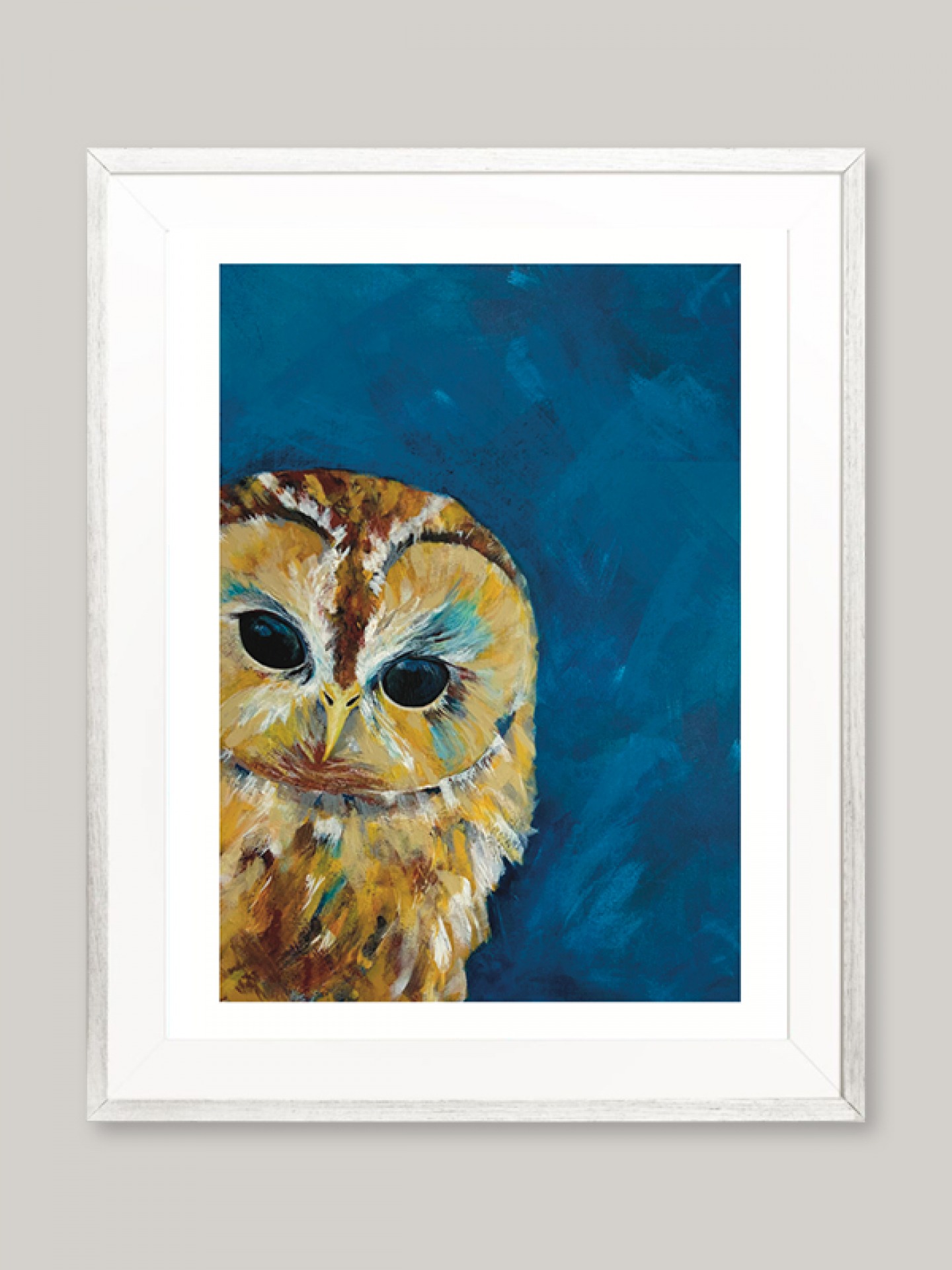 Owl on blue background