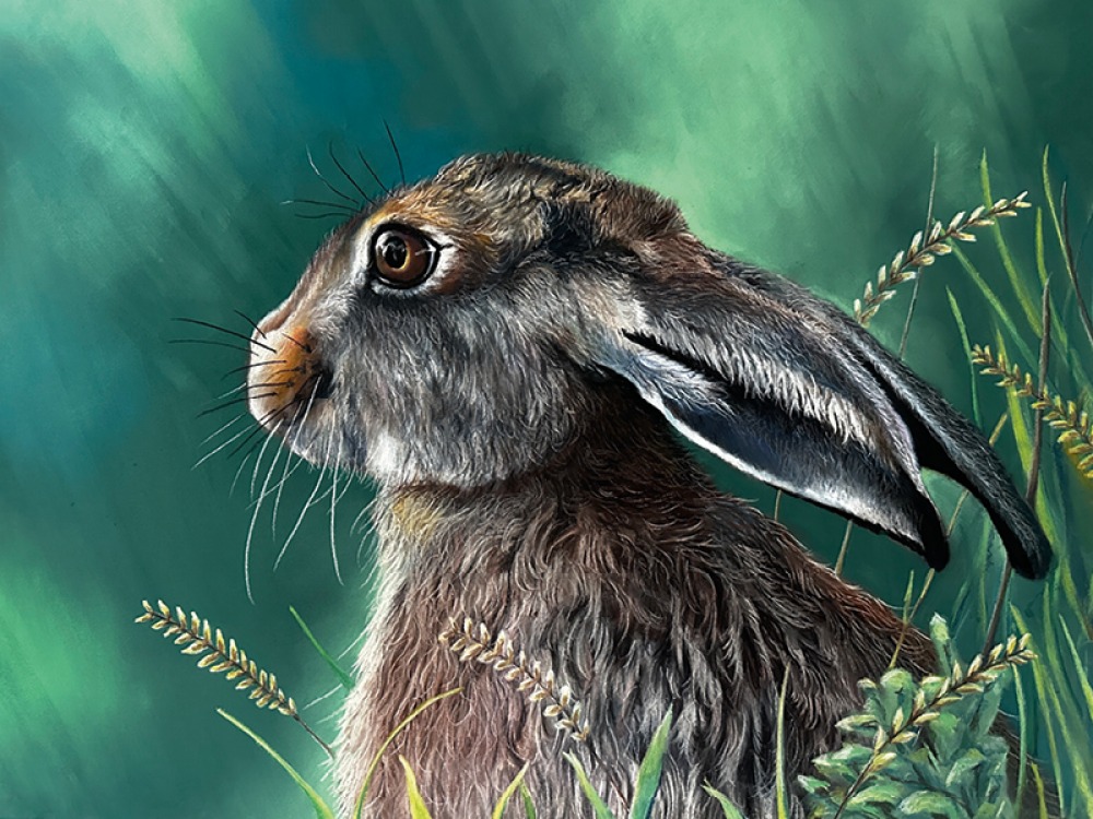 Rabbit by Vicki Davidson
