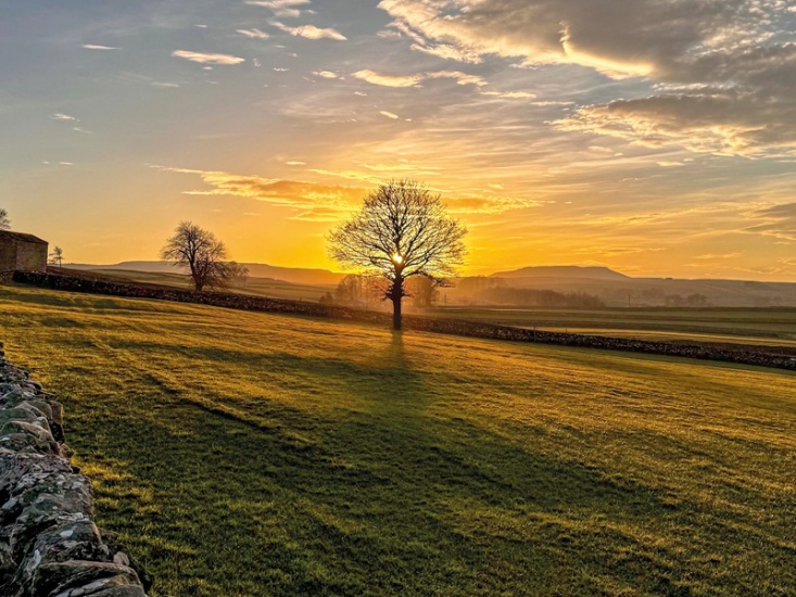 Silhouette of lone trees in a walled field as the sun sets on the hills