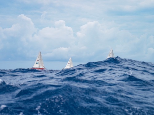 Meet The Yorkshire Sailors Racing Across The World