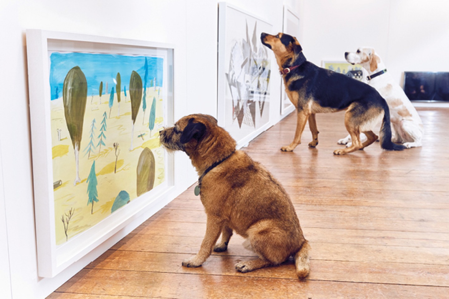 dogs looking at art