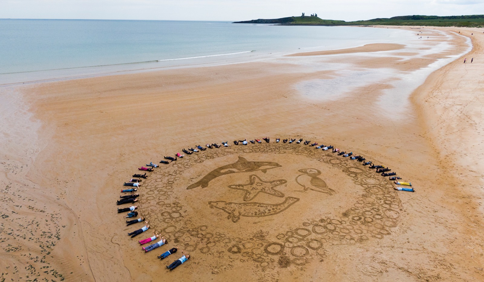 See the Incredible Sand Artwork that this Former North East GP Creates ...