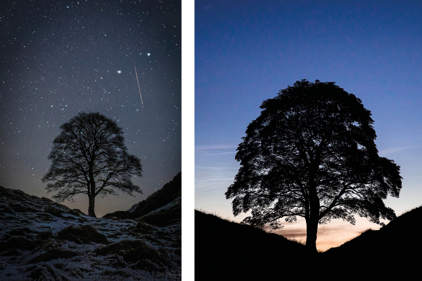 sycamore gap at dusk and dark