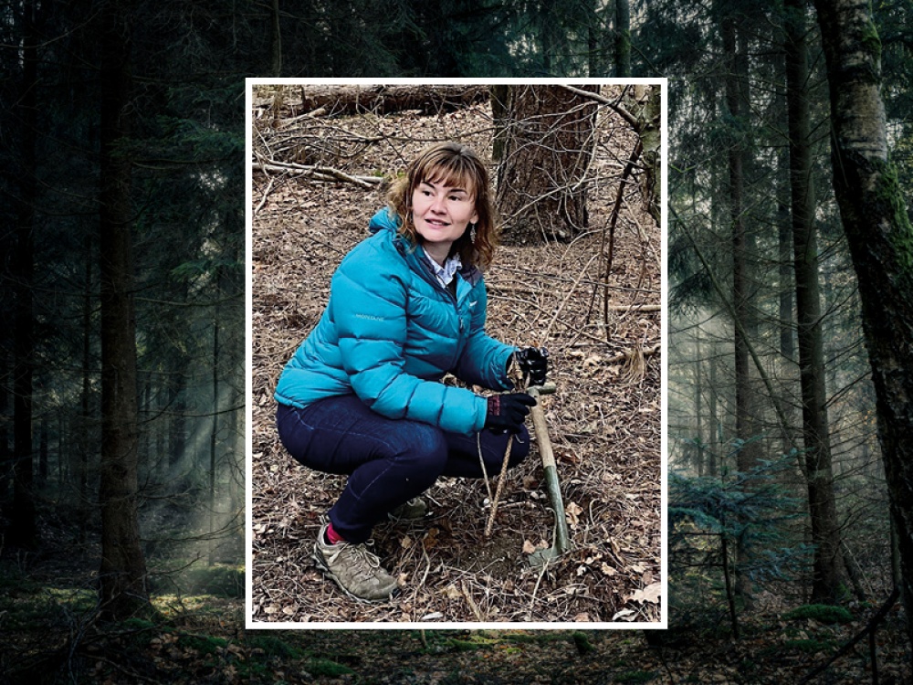 Former Sunderland Teacher who Left Education to Become a Northumberland Woodland Officer